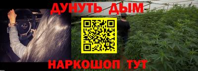 соль ск Дубна