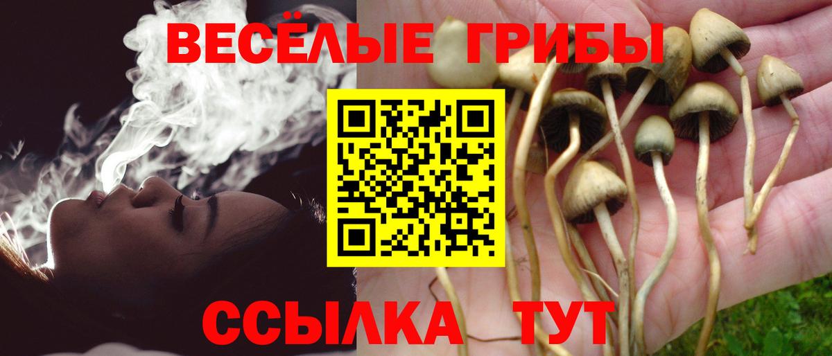 Псилоцибиновые грибы мухоморы  Галлюциногенные грибы ЛСД  Муром  Вход с VPN 